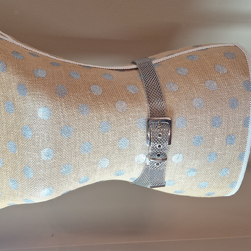 Express Silver Mesh Belt